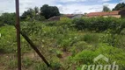 Foto 4 de Fazenda/Sítio com 2 Quartos à venda, 120m² em Recreio Pedregal, Sertãozinho