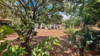 Foto 33 de Fazenda/Sítio com 4 Quartos para alugar, 1200m² em Condominio Vera Cruz Zona Rural, São José do Rio Preto