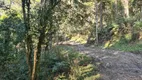 Foto 4 de Fazenda/Sítio à venda, 448000m² em Pedra Branca, Alfredo Wagner