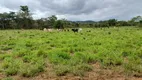 Foto 3 de Fazenda/Sítio com 2 Quartos à venda, 490000m² em Sao Gabriel de Goias, Planaltina