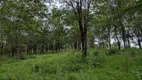 Foto 15 de Fazenda/Sítio à venda, 20000m² em Centro, Fortuna de Minas