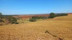 Foto 5 de Fazenda/Sítio com 1 Quarto à venda, 10m² em Zona Rural, Campo Alegre de Goiás