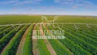 Foto 19 de Fazenda/Sítio à venda, 20500000m² em Zona Rural, Patrocínio