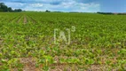 Foto 2 de Fazenda/Sítio à venda, 1600000m² em Zona Rural, Perdizes