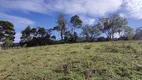 Foto 13 de Lote/Terreno à venda, 2000m² em Zona Rural, Delfim Moreira