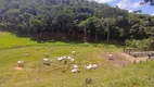 Foto 99 de Fazenda/Sítio com 4 Quartos à venda, 556600m² em Taboâs, Rio das Flores