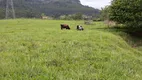 Foto 2 de Fazenda/Sítio com 3 Quartos à venda, 10600m² em Pinheiro, Presidente Getúlio