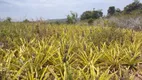 Foto 9 de Fazenda/Sítio com 6 Quartos à venda, 450000m² em Zona Rural, Conde