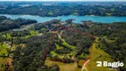 Foto 2 de Fazenda/Sítio com 4 Quartos à venda, 72400m² em Vila David Antonio, Campo Largo