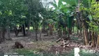 Foto 7 de Fazenda/Sítio com 1 Quarto à venda, 210m² em Zona Rural, Abreulândia