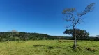 Foto 2 de Lote/Terreno à venda, 20000m² em Zona Rural, São Gonçalo do Pará