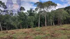 Foto 10 de Lote/Terreno à venda, 5000m² em Bateias de Baixo, Campo Alegre