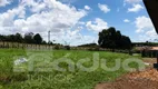 Foto 11 de Fazenda/Sítio com 4 Quartos à venda, 1171675m² em Centro, Salgado