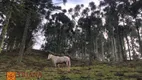 Foto 18 de Lote/Terreno à venda, 120000m² em , Rio Rufino