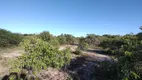 Foto 4 de Lote/Terreno à venda, 5000m² em VALE DO PIUM, Nísia Floresta