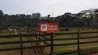 Foto 30 de Fazenda/Sítio com 3 Quartos à venda, 1000m² em Jardim Nova Boituva, Boituva
