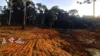 Foto 7 de Fazenda/Sítio com 1 Quarto à venda, 5000m² em Campestre da Faxina, São José dos Pinhais