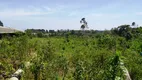 Foto 4 de Fazenda/Sítio com 4 Quartos à venda, 30000m² em Campo Alto, Tijucas do Sul