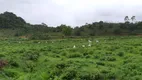 Foto 16 de Fazenda/Sítio com 2 Quartos à venda, 74000m² em Ana Dias, Itariri