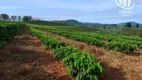 Foto 26 de Fazenda/Sítio à venda, 3000000m² em Centro, Divisa Nova