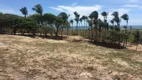 Foto 10 de Lote/Terreno à venda, 12100m² em Tabuba, Caucaia