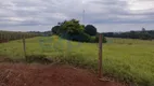 Foto 3 de Fazenda/Sítio com 1 Quarto à venda, 5000m² em Centro, Santa Terezinha de Itaipu