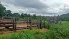 Foto 37 de Fazenda/Sítio com 2 Quartos à venda, 29m² em Zona Rural, Colinas do Sul