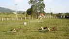 Foto 6 de Fazenda/Sítio à venda, 7533m² em Caxito, Maricá