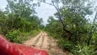 Foto 30 de Fazenda/Sítio com 2 Quartos à venda, 203m² em Zona Rural, Cavalcante