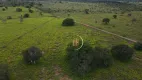 Foto 9 de Fazenda/Sítio à venda, 16999532m² em Centro, Miracema do Tocantins