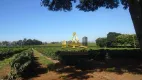 Foto 21 de Fazenda/Sítio com 1 Quarto à venda, 200m² em Zona Rural, Piumhi