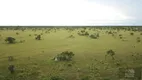 Foto 13 de Fazenda/Sítio à venda, 55000m² em , São Félix do Araguaia