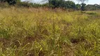 Foto 9 de Fazenda/Sítio com 5 Quartos à venda, 1600000m² em Area Rural de Novo Gama, Novo Gama