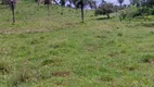 Foto 3 de Fazenda/Sítio à venda, 455m² em Zona Rural, Colméia
