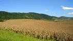 Foto 14 de Fazenda/Sítio com 4 Quartos à venda, 5000m² em Zona Rural, Serra Negra