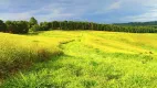 Foto 36 de Lote/Terreno à venda, 500m² em Bairro do Maranhão, Cotia