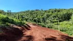 Foto 6 de Fazenda/Sítio à venda, 30000m² em Linha Olinda, Nova Petrópolis