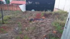 Foto 3 de Lote/Terreno à venda, 200m² em Jardim Alto do Cafezal, Londrina