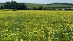 Foto 27 de Fazenda/Sítio à venda, 380000m² em Jaguari, Limeira