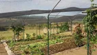 Foto 50 de Fazenda/Sítio com 7 Quartos à venda, 350m² em Jardim Buru, Salto