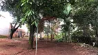 Foto 11 de Lote/Terreno à venda, 2030m² em Trevo, Belo Horizonte