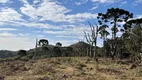 Foto 26 de Fazenda/Sítio à venda, 20000m² em Zona Rural, Urubici