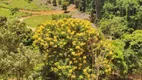 Foto 13 de Fazenda/Sítio à venda, 20000m² em , Marechal Floriano