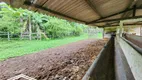 Foto 30 de Fazenda/Sítio à venda, 80000m² em Bairro Rural, Chã Grande
