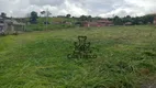 Foto 3 de Lote/Terreno à venda, 342m² em , Ibiporã