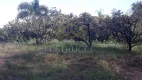 Foto 14 de Fazenda/Sítio com 3 Quartos à venda, 200m² em Caixa d Agua, Vinhedo