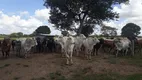 Foto 2 de Fazenda/Sítio com 3 Quartos à venda, 150000m² em Centro, Vera Cruz