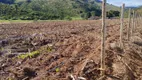 Foto 34 de Fazenda/Sítio à venda, 193600m² em Niteroi, Atilio Vivacqua