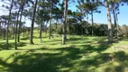 Foto 28 de Lote/Terreno à venda, 1600m² em , Garibaldi