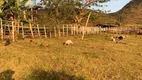 Foto 4 de Fazenda/Sítio à venda em Centro, Gurinhém